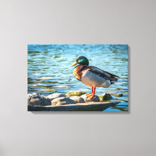 Impresión en lienzo de pato real   Arte de aves ju