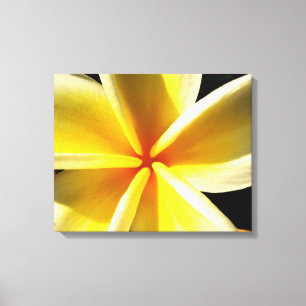 Impresión en lienzo de Plumeria Blanca (Frangipani