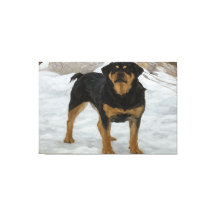 Impresión en lienzo de Rottweiler