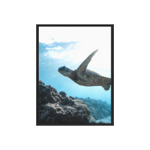 Impresión en lienzo de tortuga marina