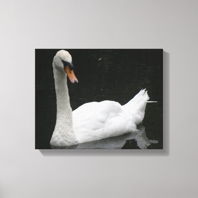Impresión en lienzo del hermoso cisne blanco (Anverso)