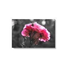 Impresión en lienzo - Elegancia de rosa rosa