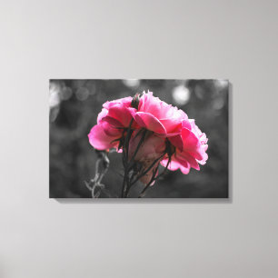 Impresión en lienzo - Elegancia de rosa rosa
