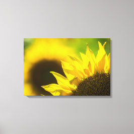 Impresión en lienzo Elegancia del Girasol