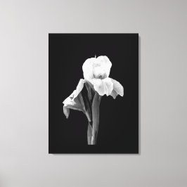 Impresión en lienzo envuelta 'Iris con gotas de ll