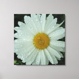 Impresión en lienzo estirado Daisy Dream