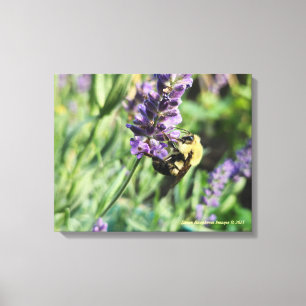 Impresión en lienzo estirado de abeja y lavanda