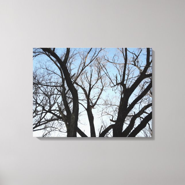 Impresión en lienzo estirado de árbol (Anverso)
