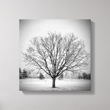 Impresión en lienzo estirado de árbol de invierno