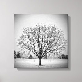 Impresión en lienzo estirado de árbol de invierno