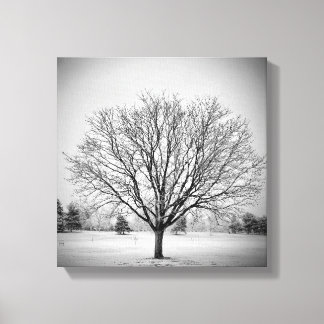 Impresión en lienzo estirado de árbol de invierno