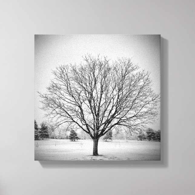 Impresión en lienzo estirado de árbol de invierno (Anverso)