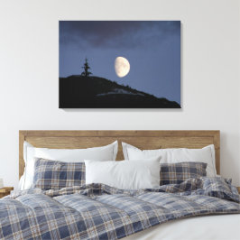 Impresión en lienzo estirado de Compañero Solitari