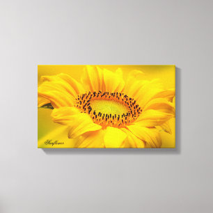 Impresión en lienzo estirado de girasol amarillo g