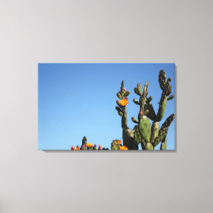 Impresión en lienzo estirado de planta de cactus f