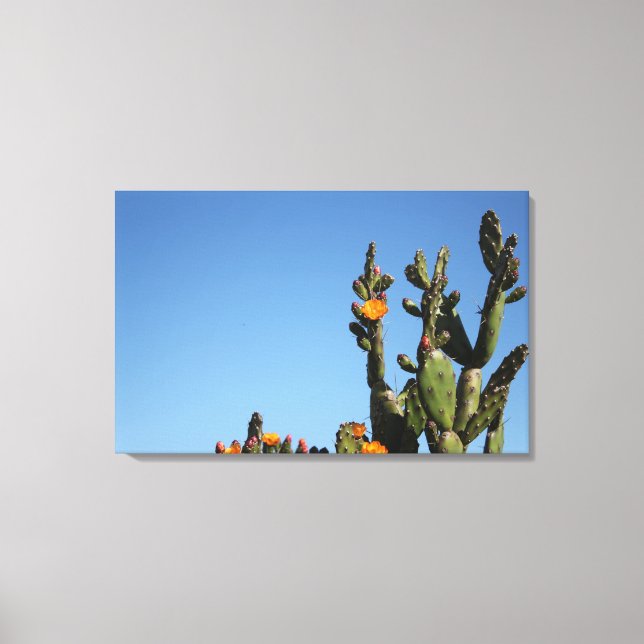 Impresión en lienzo estirado de planta de cactus f (Anverso)