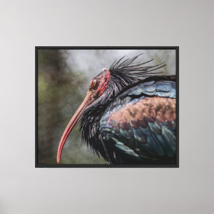 Impresión en lienzo estirado de plumas de intriga