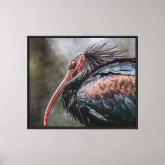 Impresión en lienzo estirado de plumas de intriga