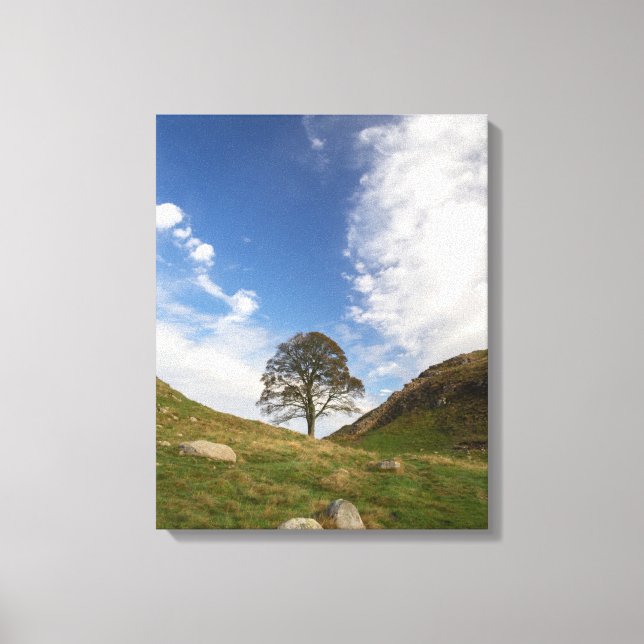 Impresión en lienzo estirado de Sycamore Gap (Anverso)