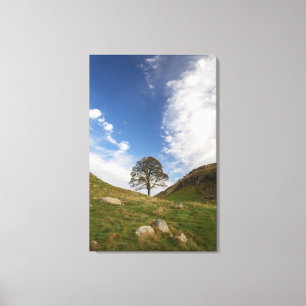 Impresión en lienzo estirado de Sycamore Gap