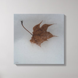 Impresión en lienzo estirado de transiciones estac