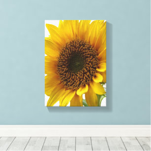 Impresión en lienzo estirado Flor girasol amarillo