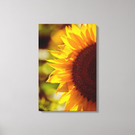Impresión en lienzo fotografía floral de girasoles
