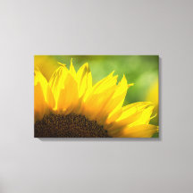 Impresión en lienzo fotografía floral girasol