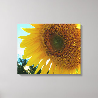 Impresión en lienzo - Girasol y abeja