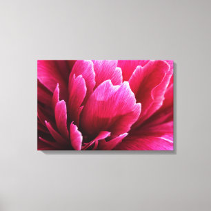 Impresión en lienzo Pétalos de flor de peonía rosa