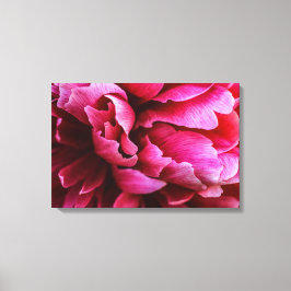 Impresión en lienzo Pétalos de peonía rosa