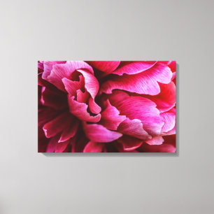 Impresión en lienzo Pétalos de peonía rosa
