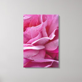 Impresión en lienzo Pétalos de rosa rosa y gotas d