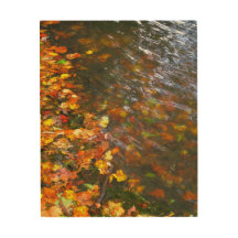 Aguas otoñales