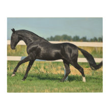 Alambre de empalme de acero negro Akhal