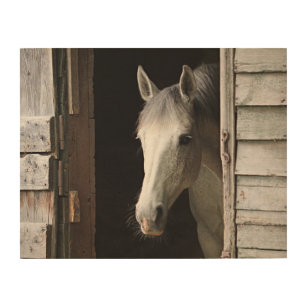 Impresión En Madera Animales de la granja de caballos Gray Mare