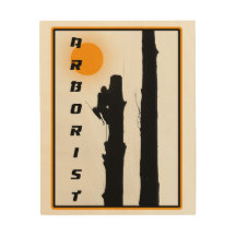 Arboristo de silueta solar en ascenso