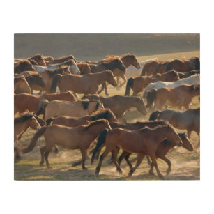 Impresión En Madera Caballos en el rancho, Mongolia interior, China