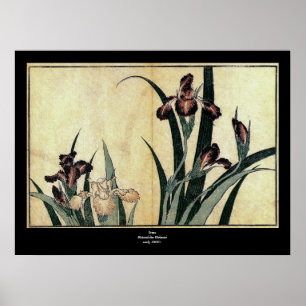 Impresión en madera de Ukiyo-e de Katsushika Hokus