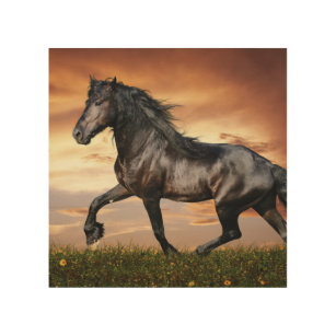 Impresión En Madera Hermoso caballo negro