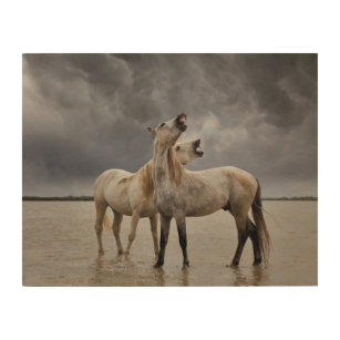 Impresión En Madera Pareja de caballos de Camargue, Francia del sur