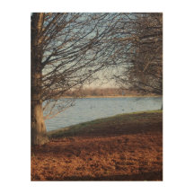 Serenidad de invierno junto al lago