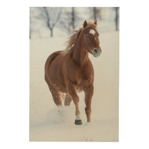Impresión En Madera Un caballo corriendo en la nieve