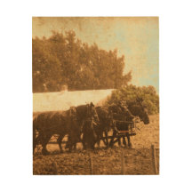 Un equipo de caballos