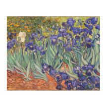 Vincent Van Gogh Irises Bella Artes de cosecha flo