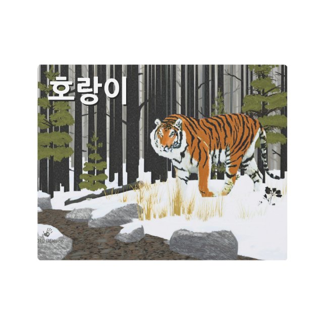 Impresión En Metal 호 랑 이 (tigre siberiano) (Anverso)