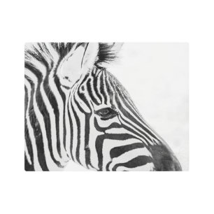 Impresión En Metal 1318-Zebra