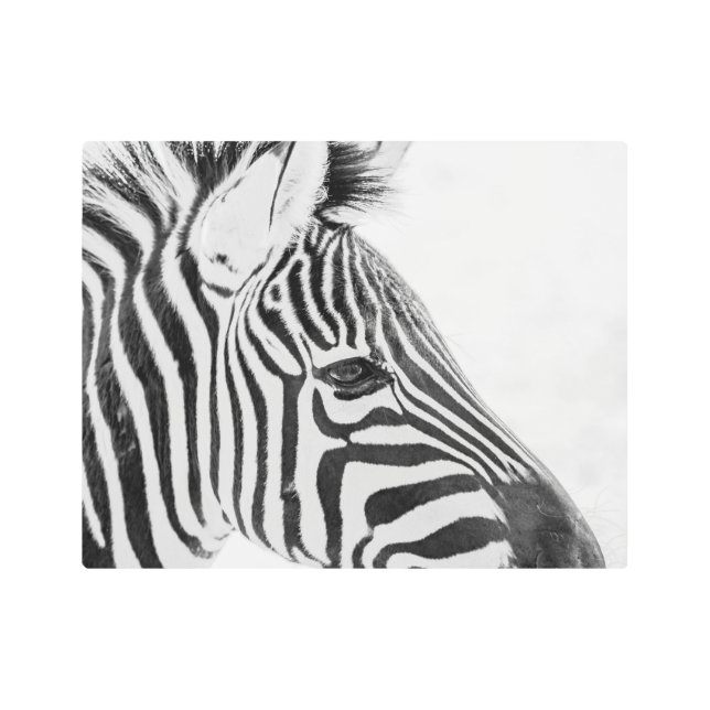 Impresión En Metal 1318-Zebra (Anverso)