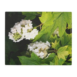 Impresión En Metal 20"x16" Oakleaf Hydrangea