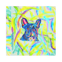 267 - Bulldog francés